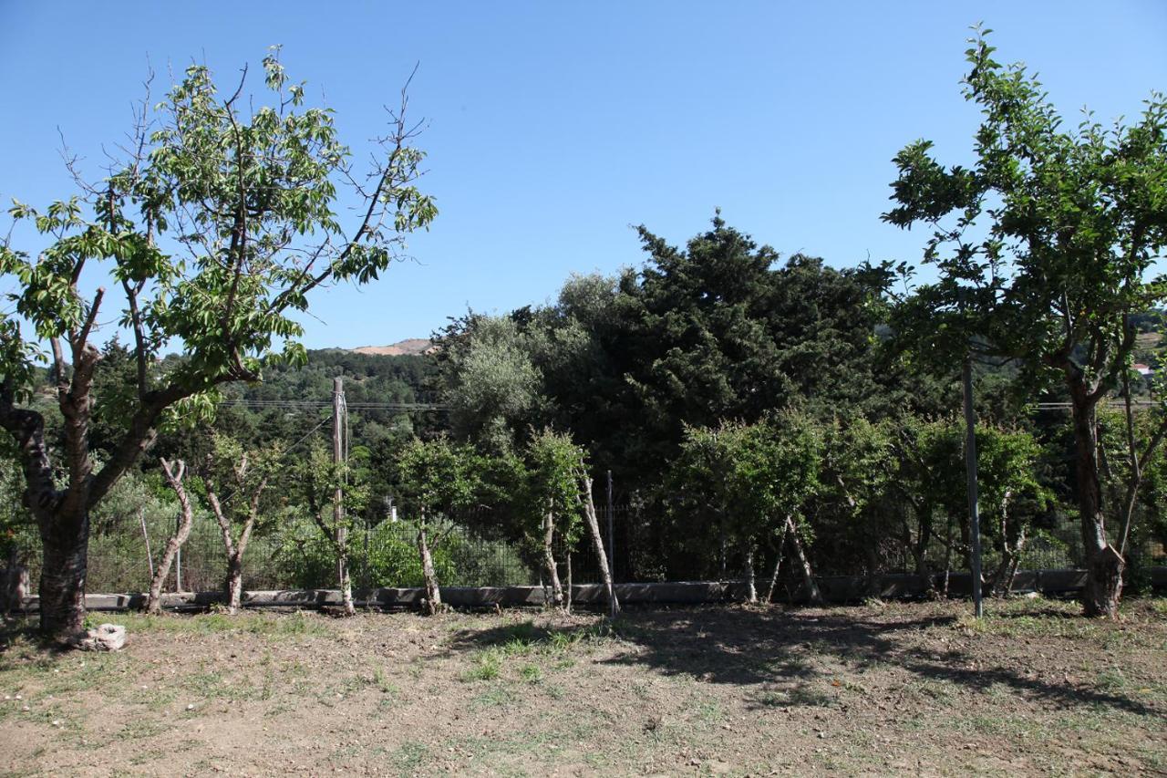 Villa Hellenick House Agios Ioannis  Exterior foto